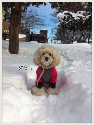 雪道~♪