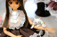12-7-1-koimari-013.jpg