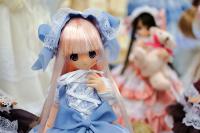 12-7-1-koimari-015.jpg