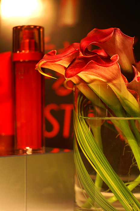 12-8-30-astalift-031.jpg