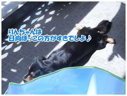 DSCN0812.jpg