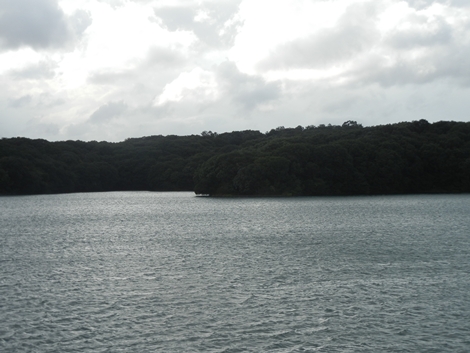 DSCN0936.jpg