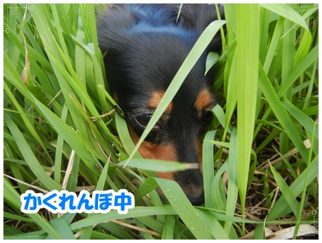 DSCN0977.jpg