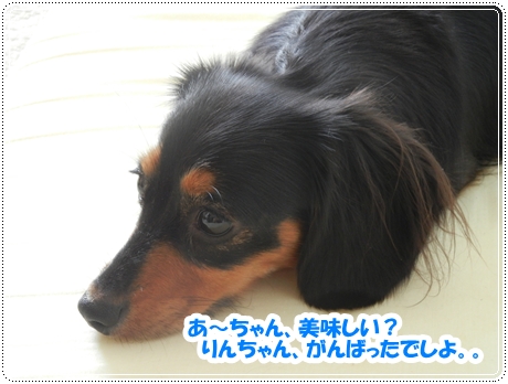 DSCN0989_20120927132716.jpg