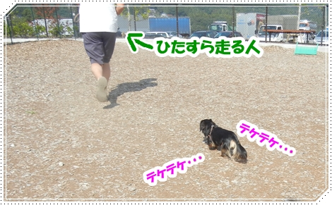 DSCN1007.jpg
