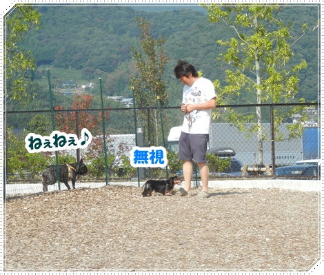DSCN1008.jpg