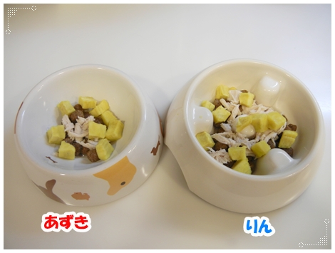 DSCN1061.jpg
