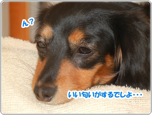 DSCN1067.jpg