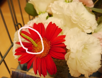 P1030215.jpg