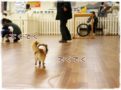 P1010032.jpg