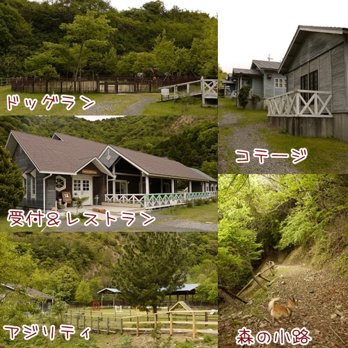 yuasa002.jpg