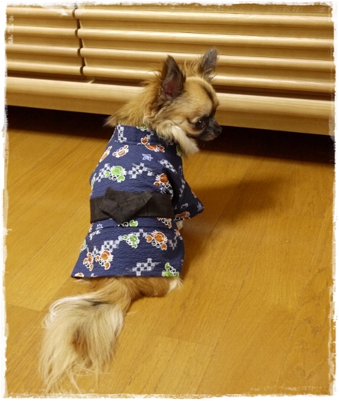 yukata003_001.jpg