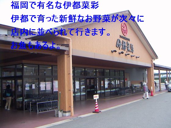 いと1