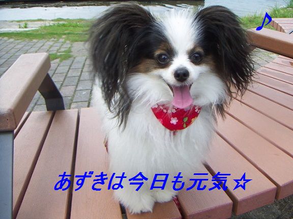 あず1