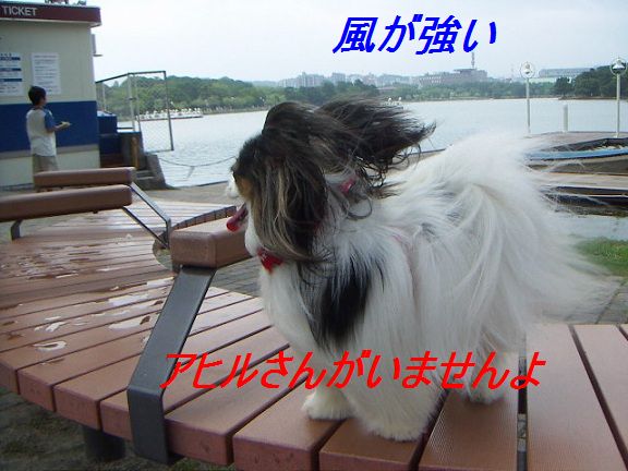 あず5