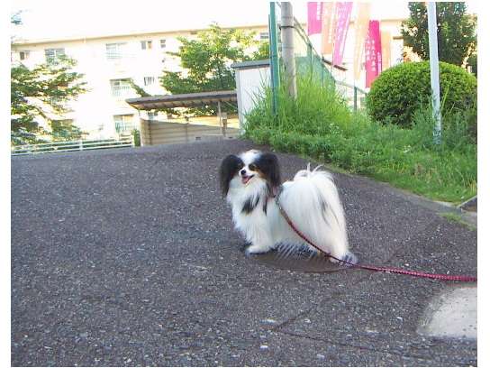 あず2
