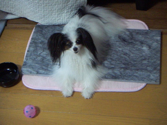 あず1