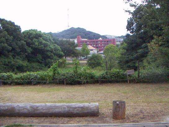あずき114
