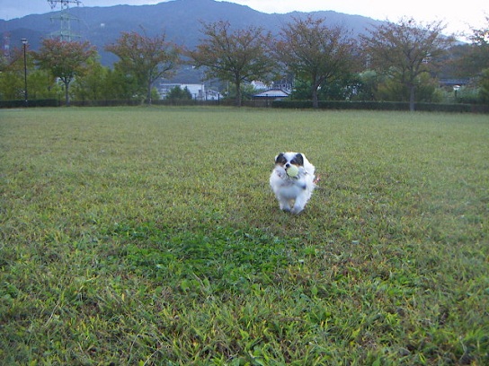 とぉりゃ~うぉーりゃ~