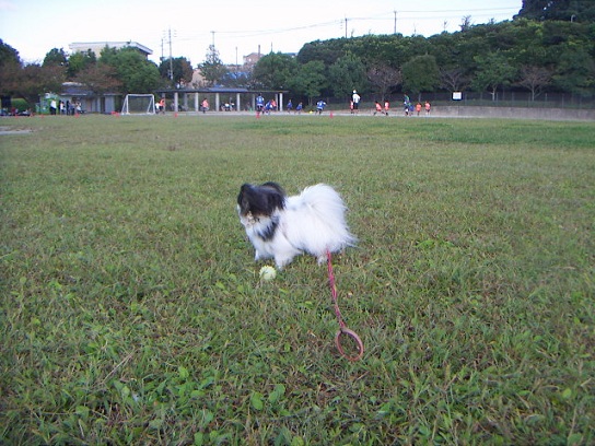 わぁちびっ子いっぱい