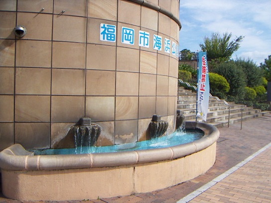 海浜公園です