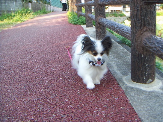 早くいくわよ
