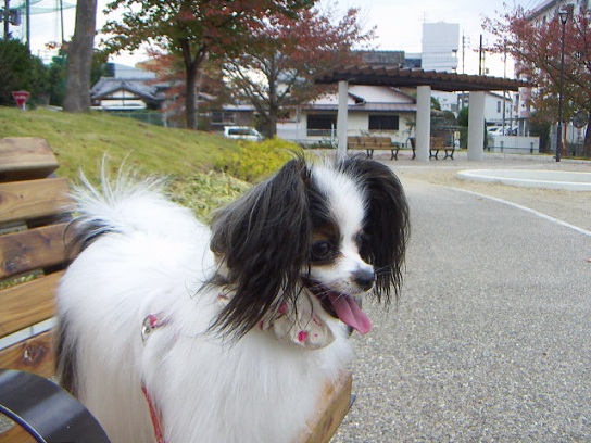 かっとぶわよ