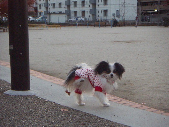しっぽに葉っぱついちゃった