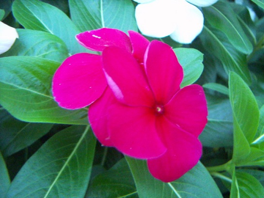 PICT0002_20120922111128.jpg