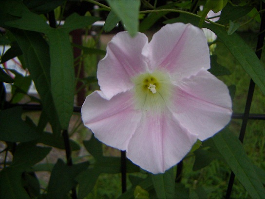 PICT0009.jpg