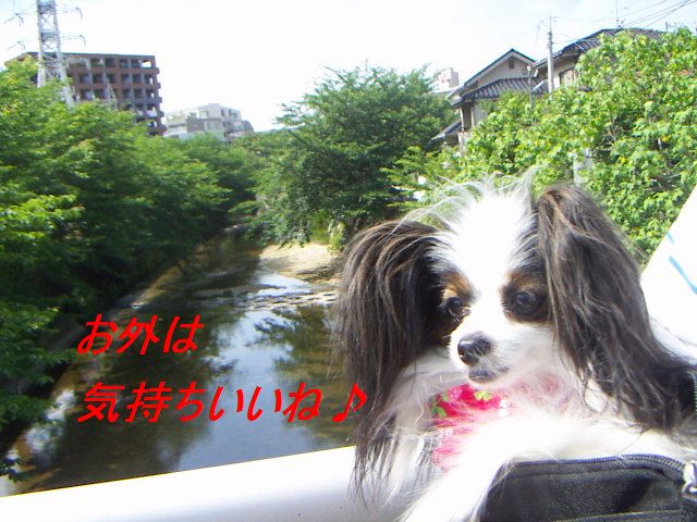 PICT0015_20120609175938.jpg