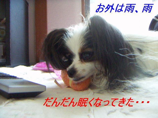 PICT0015_20120616093803.jpg