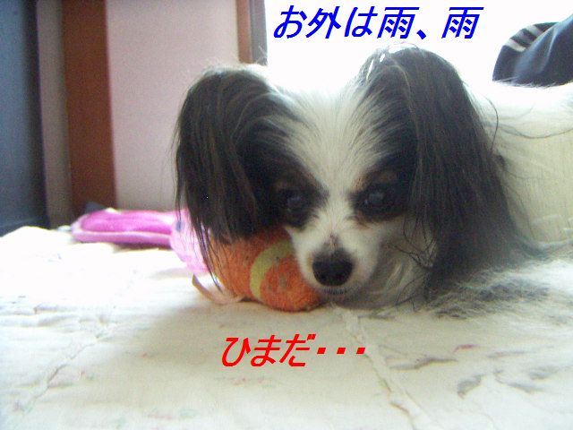 PICT0016.jpg