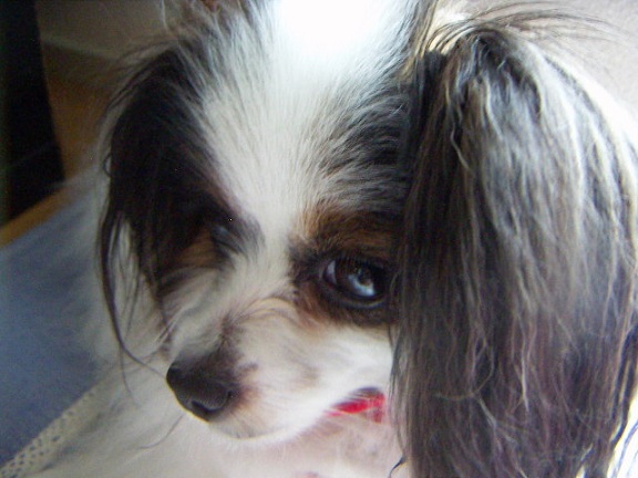 PICT0020.jpg