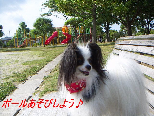PICT0021.jpg