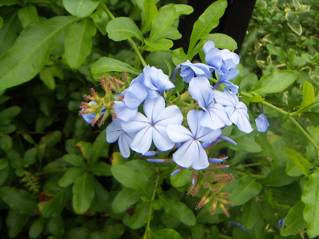 PICT0024.jpg