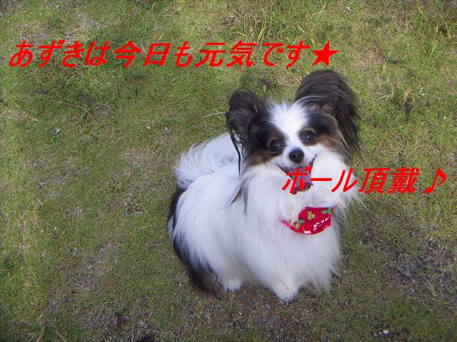 PICT0025.jpg