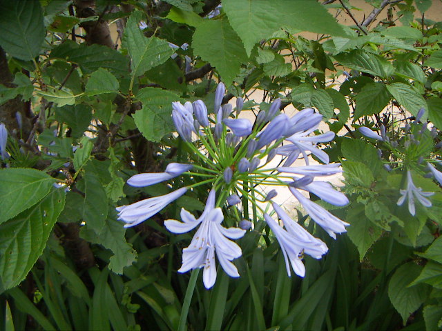 PICT0026_20120623175814.jpg