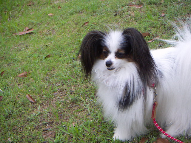 PICT0028_20120623175937.jpg