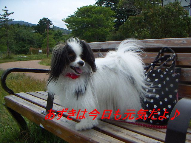 PICT0032_20120617190144.jpg