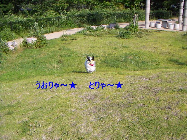 PICT0037.jpg