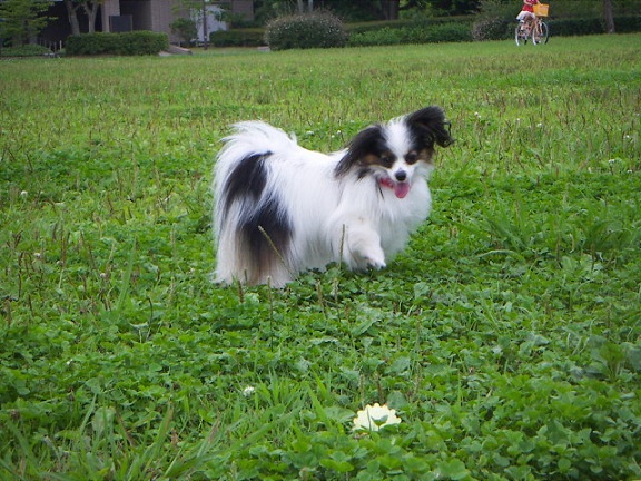 PICT0038_20120629175825.jpg