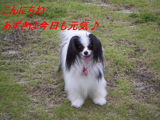 PICT0041.jpg