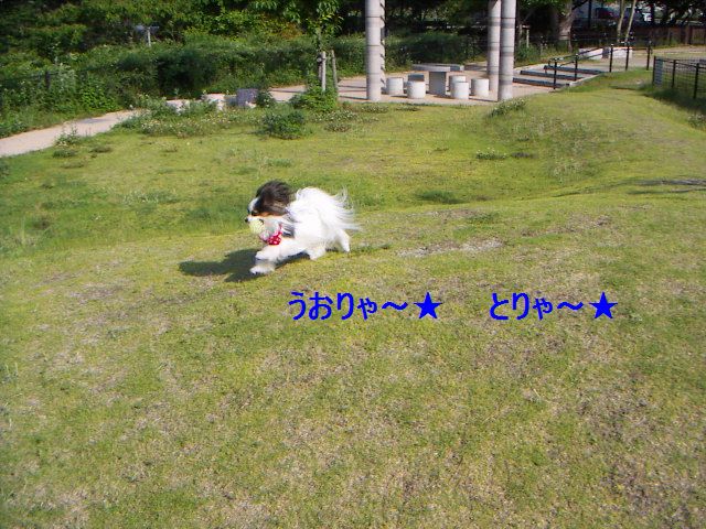 PICT0042.jpg