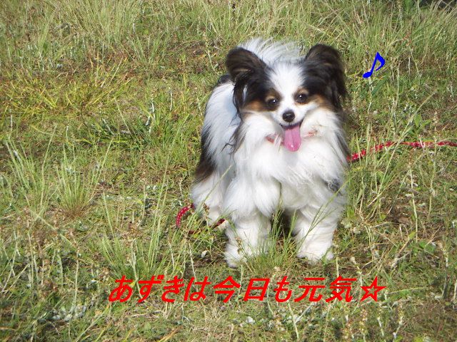 PICT0044.jpg