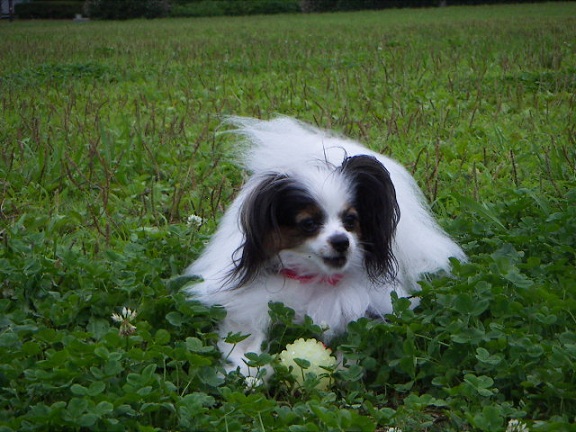 PICT0045.jpg