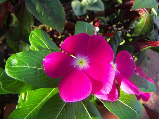 PICT0048.jpg