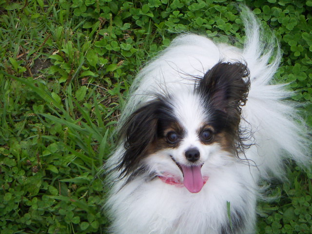PICT0051.jpg