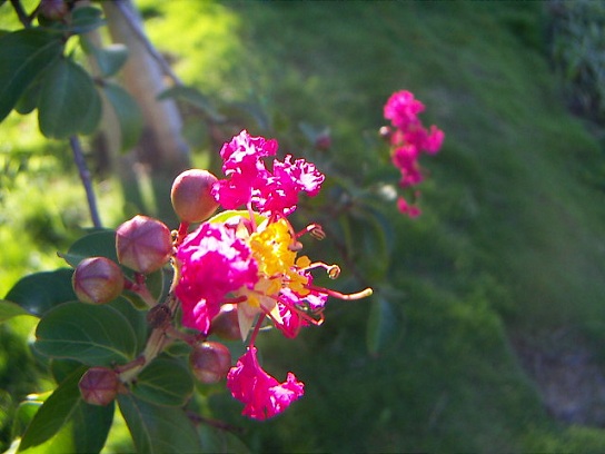 PICT0052.jpg