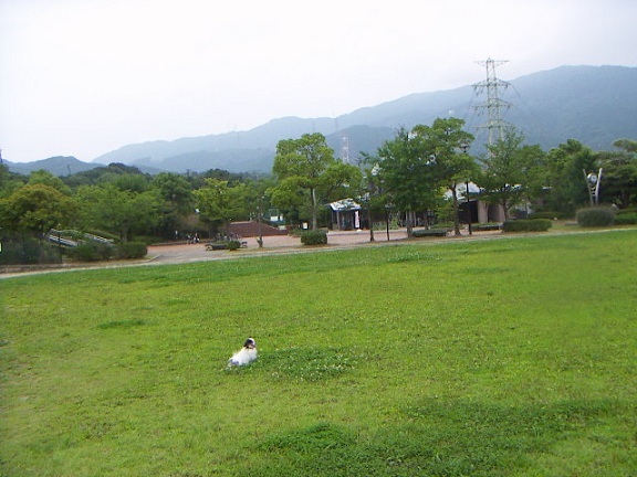 PICT0053.jpg